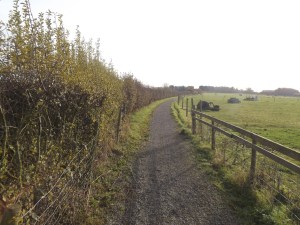 Hardcore path to paddocks